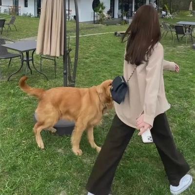妈阁是座城